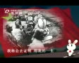 那年那兔那些事(追梦痴子心版)
